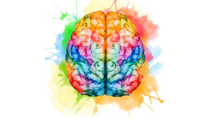 Watercolor illustration of a brain.