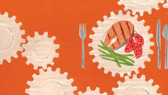 illustration of different food groups on gears