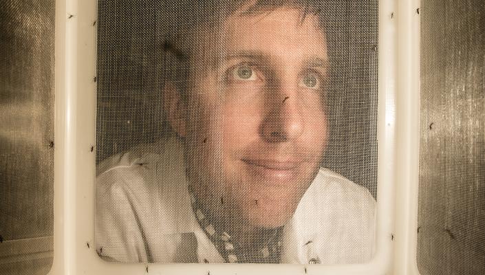 Conor McMeniman looks through a screen at mosquitoes