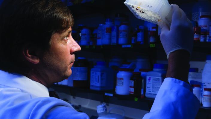 David Sullivan holds a tray of samples up to the light