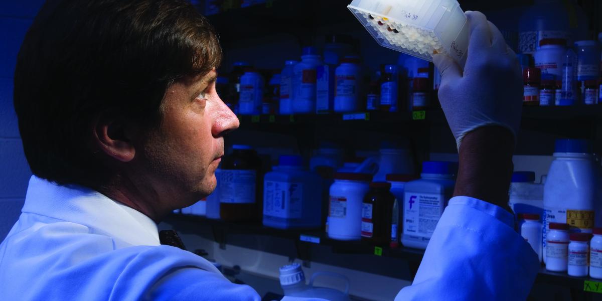 David Sullivan holds a tray of samples up to the light