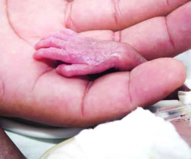 a tiny baby's hand rest in an adult's hand