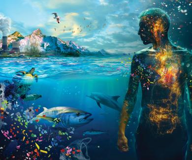 A composite image showing an industrial landscape above water, marine life and pollution underwater, and a glowing human figure intertwined with the environment.