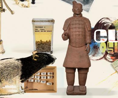 A photocollage of various objects, the text reads curiosities.